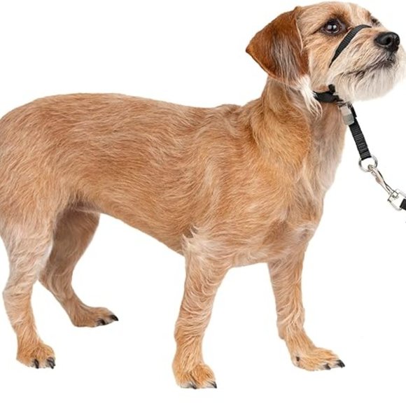 PetSafe Gentle Leader No-Pull Dog Headcollar - The Ultimate Solution to Pulling - Picture 2 of 5